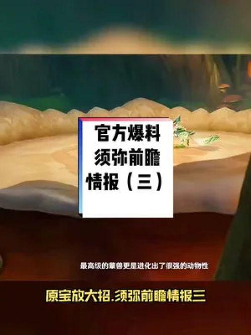 须弥前瞻爆料视频在哪看,揭秘新世界精彩内容