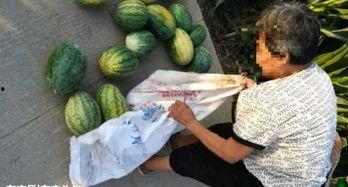 东港网红吃瓜最新事件,揭秘幕后真相与网友热议