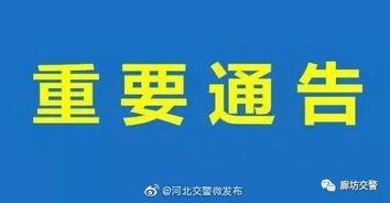 文安爆料视频大全最新,热点事件背后的真相与反思