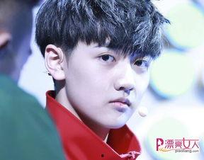 娱乐圈爆料焉栩嘉,真相与争议并存