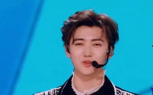 娱乐圈爆料焉栩嘉,真相与争议并存