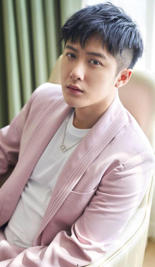 娱乐圈内幕爆料黄景瑜,娱乐圈背后的真相与争议