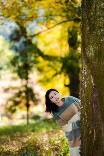 碧之季节在线观看,在线观看，探寻青春记忆的温暖时光