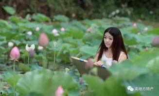 碧之季节在线观看,在线观看，探寻青春记忆的温暖时光