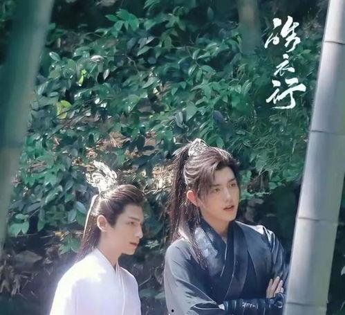 碧之季节在线观看,在线观看，探寻青春记忆的温暖时光