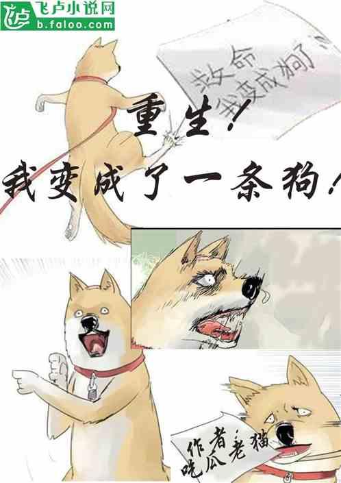 我要当吃瓜第一人小说免费阅读,揭秘娱乐圈幕后风云